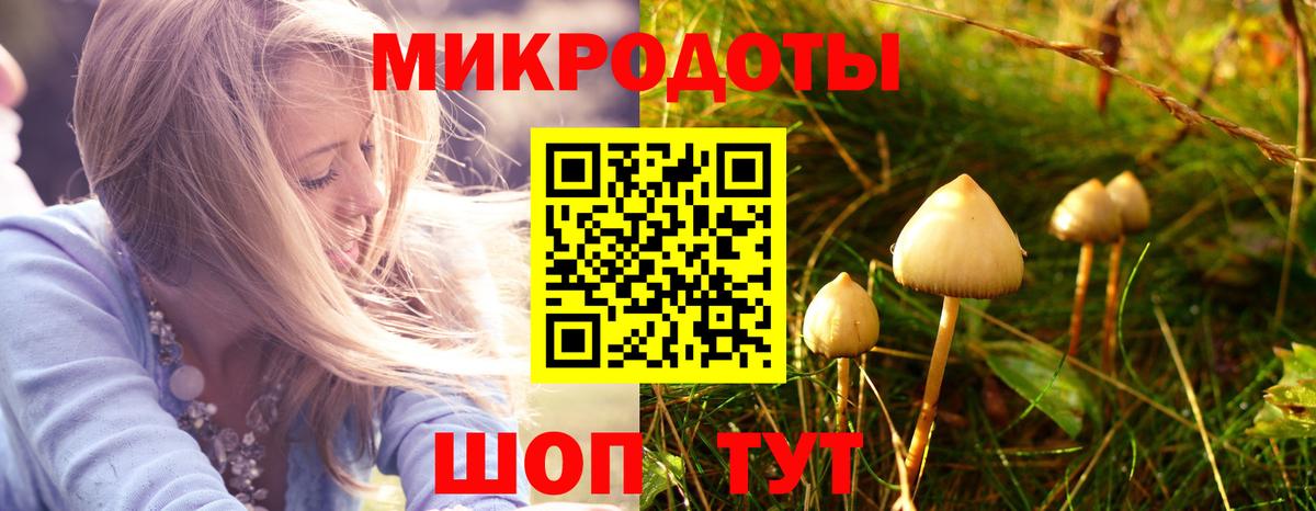 Псилоцибиновые грибы Magic Shrooms Реутов