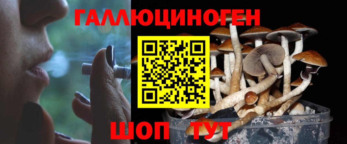 Псилоцибиновые грибы мицелий  Псилоцибиновые грибы Magic Shrooms  Вход с VPN  где купить наркоту  Реутов 